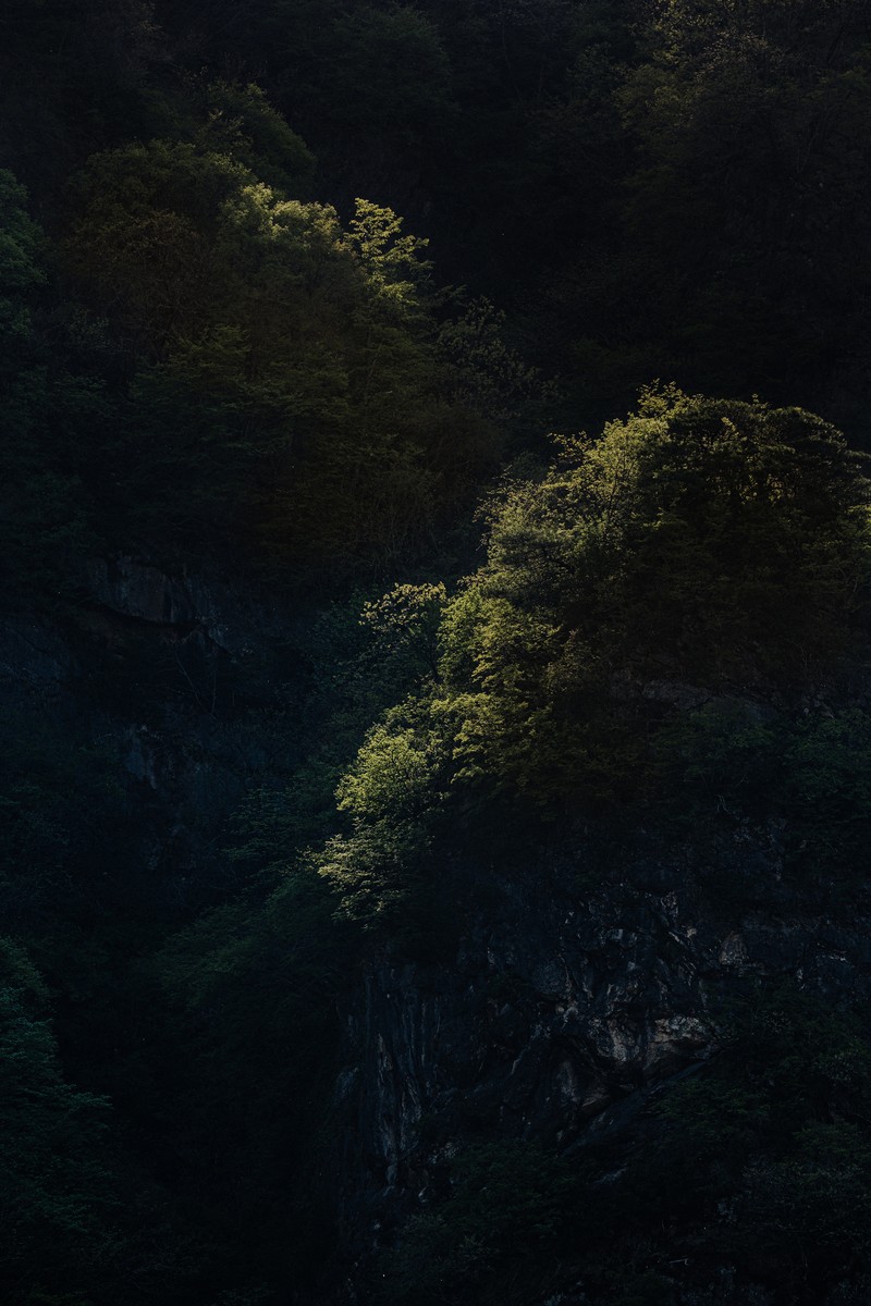 영월 동강오토캠핑