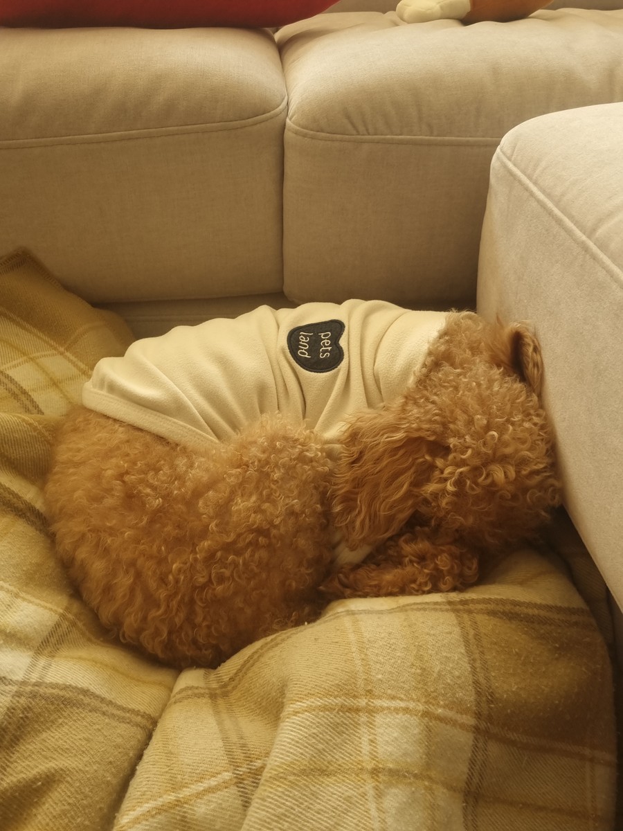 gardenstone의 사진 작품