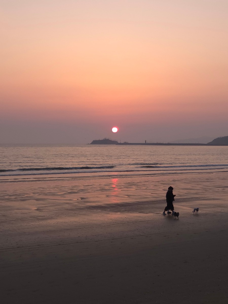 gardenstone의 사진 작품