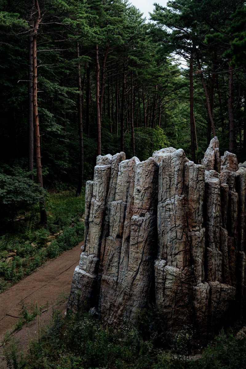 태백 소도야영장